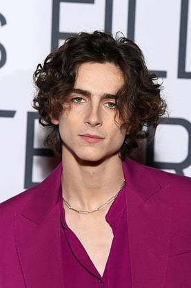 Timothee Chalamet Lil Timmy Tim Timothe Chalamet Matte Finish Poster Paper Print
