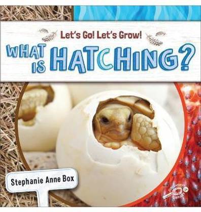 What Is Hatching?