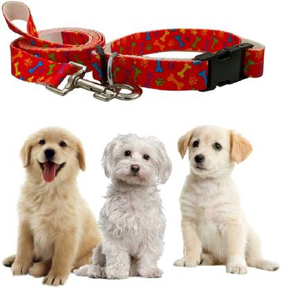 Jainsons Pet Products 150 cm Dog Strap Leash
