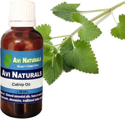 AVI NATURALS Catnip oil