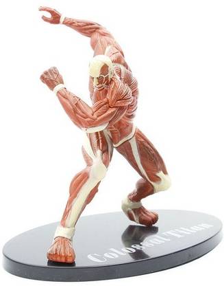 jasicnytum Attack On Titan Colassal Titan Action Figure