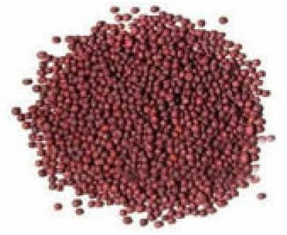 Multi Bazar Shalgam Beej Seed