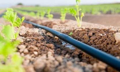 Vallabh Inline 20mm Drip Pipe, Dripper at Each 40cm,roll length 300m Drip Irrigation Kit