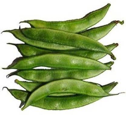 KANAYA Sem Ki Fali Vegetable Seed