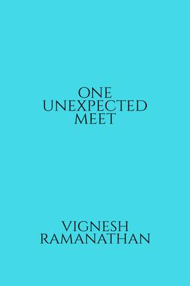 ONE UNEXPECTED MEET
