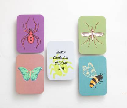 EarlyBuds Coloured Contrast Insects Flashcards