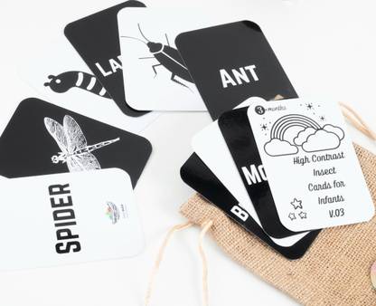 EarlyBuds High Contrast Insects Flashcards
