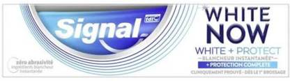Signal White Now White + Protect Toothpaste