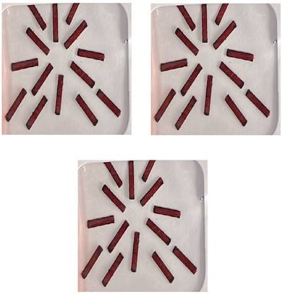 ONLINE JUNCTION OJ Plain Maroon Color Bindi Tikali Rectangle Long shape Pack-3 Size-4 Forehead Maroon Bindis