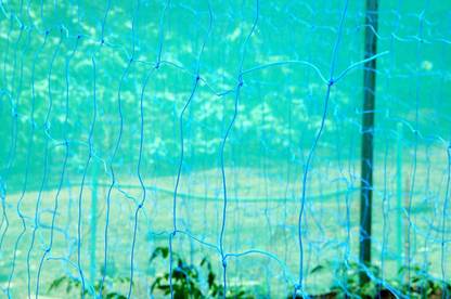 WNE Jaliwale Plant Climbing net & Plant Trellis Netting Creeper Net - 5feet x 15feet Hiking Net