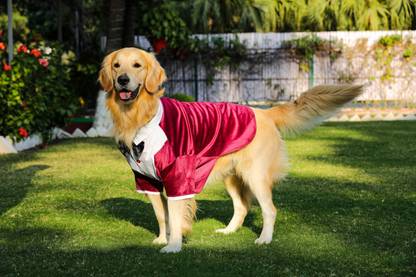 Barks & Wags Tuxedo for Dog, Cat