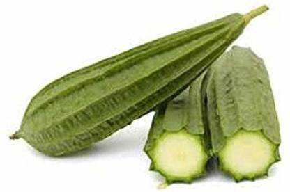 DIOART XVXV-®F1 HYBRID RIDGE GOURD SEEDS-175-X-SEEDS-28 Seed
