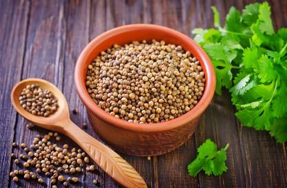 SSPLANTS dhona patha Seed
