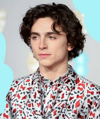 Timothée Chalamet Matte Finish Poster Paper Print