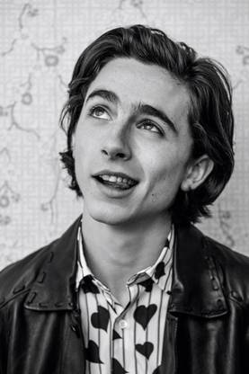 Timothée Chalamet Matte Finish Poster Paper Print