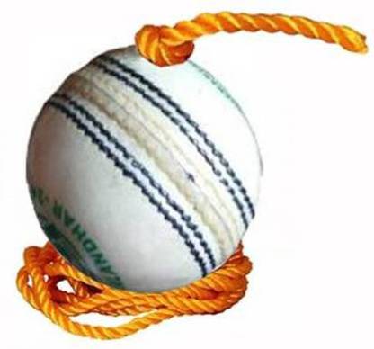 labh traders Cricket Bat Knocking / Practice / Hanging Ball Cricket Training Ball