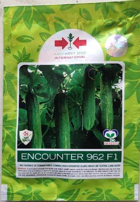 East West Seeds Cucumber Seed
