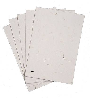 Panap Basil Seed Plantable Paper Resin Art Medium