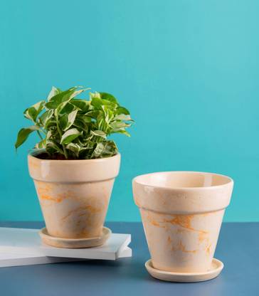Nurturing Green Set of 2 Yellow Ceramic Pots with Bottom Trays & Drainage Hole (Size: 5.4*5 IN) Plant Container Set