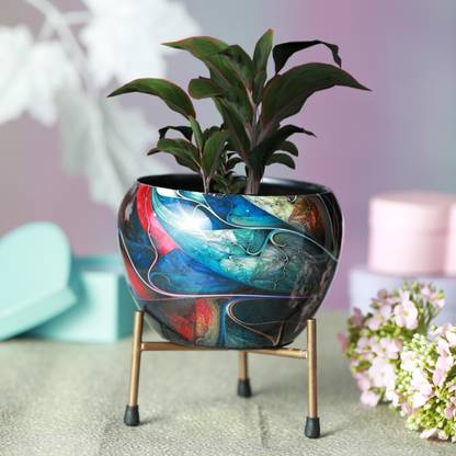 homspurts Metal Planter Pot with Tablestand (Multicolor, Set of 1) | 6x 5 in | Iron Vase