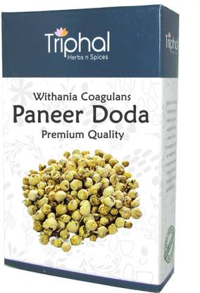 Triphal Paneer Doda – Paneer Phal – Withania Coagulans | Whole