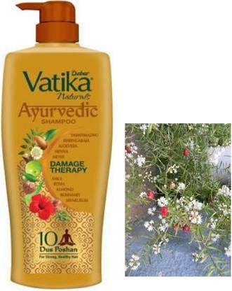 VATIKA (AYUR-S) Ayurvedic Shampoo