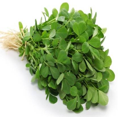 SRI SAI FORESTRY Organic Fenugreek, Methi, Bhaji Vegetable Seed