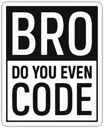 Signoogle Bro Do You Even Code for Developers Programmers Laptop Sticker Vinyl Laptop Skin Compatible for 15 inch