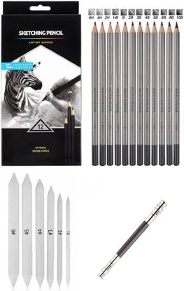 डेफिनाइट Art Graphite Professional Drawing Sketching Pencil Set- Artist Grade Degree Pencils 10B, 8B, 6B, 5B, 4B, 3B, 2B, B, HB, 2H, 4H and 6H (Pack of 12), Art Blending Paper Stumps (Pack of 6) and One 13cm Pencil Extender