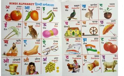 Nk products Card Board Book Learning Book For Every Children