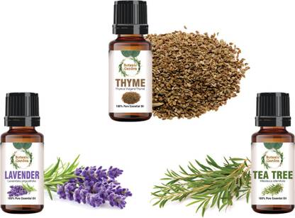 botanic garden Combo of Lavender,Thyme & Tea Tree Essential Oils for Boils-10ml