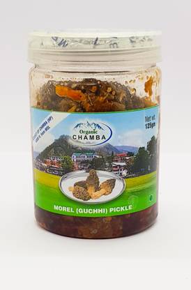 organic chamba GUCCHI (MOREL PICKLE) I PREMIUM PICKLE I PICKLE I CHAMBA PICKLE I Mushroom Pickle