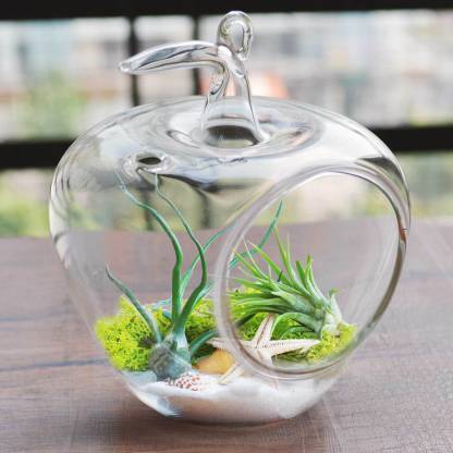 MAGICMOON Glass Hanging Planter Apple Shape, Indoor Gardening Terrarium For Artificial Plants (Pack of 1) (5 Inch Apple Terrarium) Plant Container Set