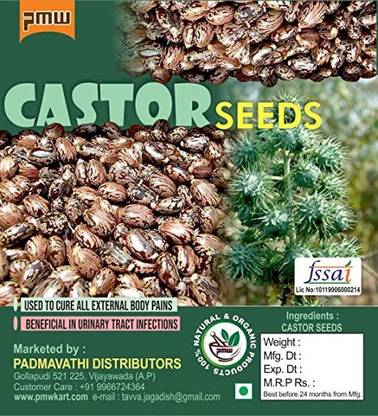 PMW Castor Seeds - Castor Oil Seed - Ricinus Communis - Arandi Ke Beej - 100 Grams Seed