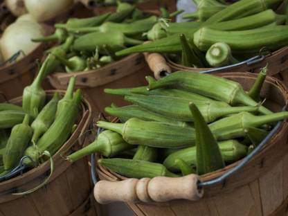 MKR Enterprises Okra Seed