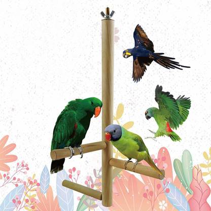 FNB Tree Type Perch Stand with 4 Branches, Made of untreated Natural Wood Bird Play Stand