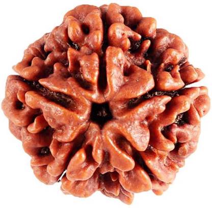 Mittal Gems 5 Mukhi Rudraksha Beads Wood Locket