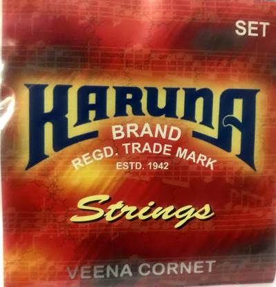 KARUNA Saraswari Veena strings set Veena String