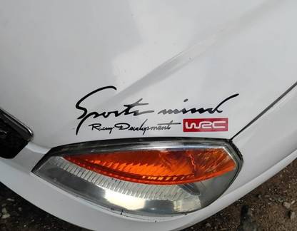 AVSARACHNA Sticker & Decal for Car