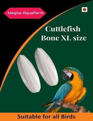 AQUA PETZ Premium Cuttlefish Bone, Bird Calcium for Finches, Budgies, Conures, Lovebirds, Cockatiels, African Grey, Macaws, Cockatoo, Eclectus, 100 g 0.1 kg Dry Young, Adult, Senior Bird Food