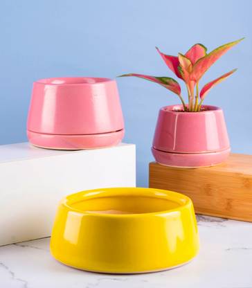 Nurturing Green Combo of 3 Ceramic Pots in Peach & Yellow Color with Bottom Tray & Drainage Hole Plant Container Set