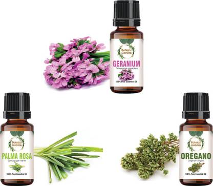 botanic garden Combo of PalmaRosa,Origano & Geranium Essential oil for Ringworm-10ml each