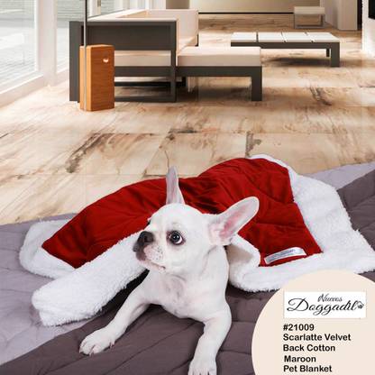 NUEVOS DOGGADIL 21009-M Dog, Cat Blanket