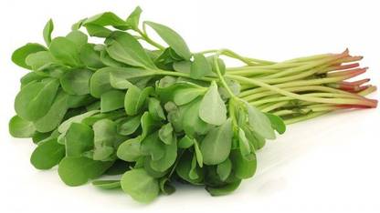 XOLDA Organic Kulfa Purslane Seed