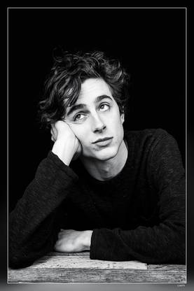 Timothee Chalamet Tim Timmy Matte Finish Poster Paper Print