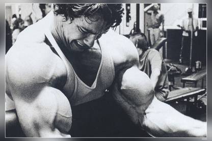 Arnold Schwarzenegger Actor Producer Director Matte Finish Poster Paper Print