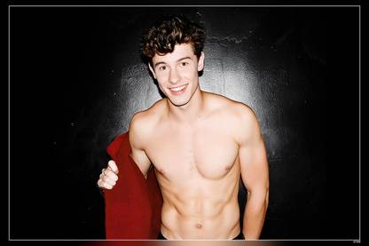 Shawn Mendes A Canadian Singer Matte Finish Poster Paper Print