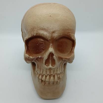 A SARKAR MAGIC WORLD HALLOWEEN SKELITON SKULL GAG TOY / GHOST HEAD (PLASTIC) / HORROR SKULL GAG PRANK TOY Gag Toy