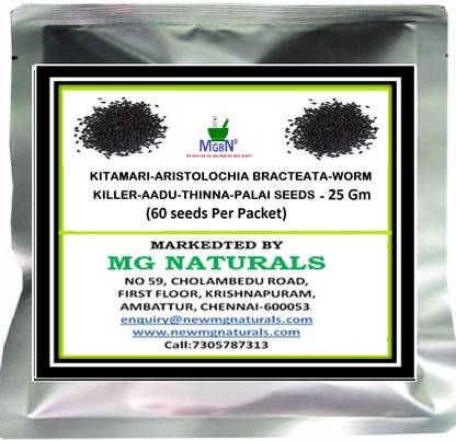 MGBN KITAMARI-ARISTOLOCHIA Seed