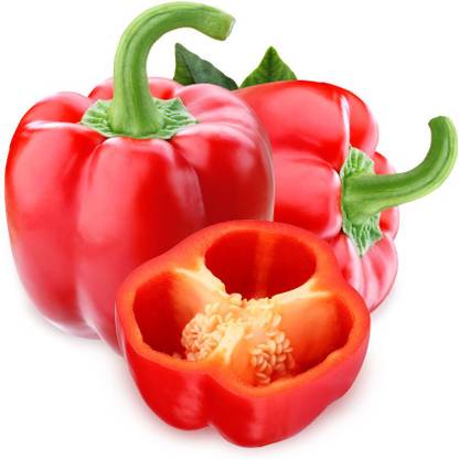 Paudha Capsium red Seed